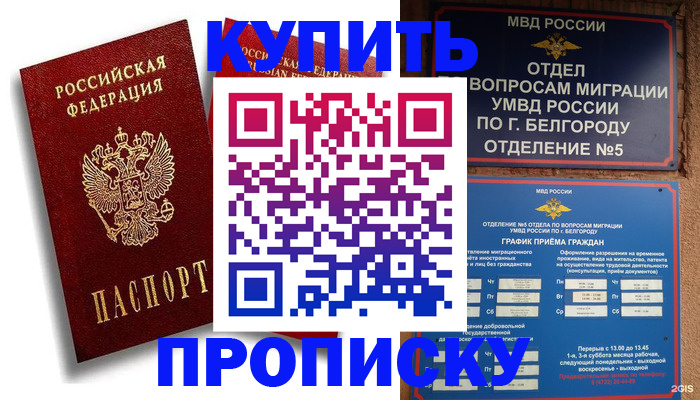 прописка иностранных граждан в Чечне